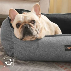 Hundebetten<SONGMICS Hundebett mit Rand 80 x 60 x 28 cm