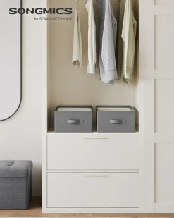 Aufbewahrungsbeutel<SONGMICS Kleiderschrank-Organizer 6 Fächer 2er Set taubengrau