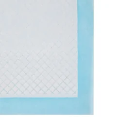 Hygieneunterlagen<SONGMICS Welpen-Hygienepads 60 x 90 cm 55 Stk